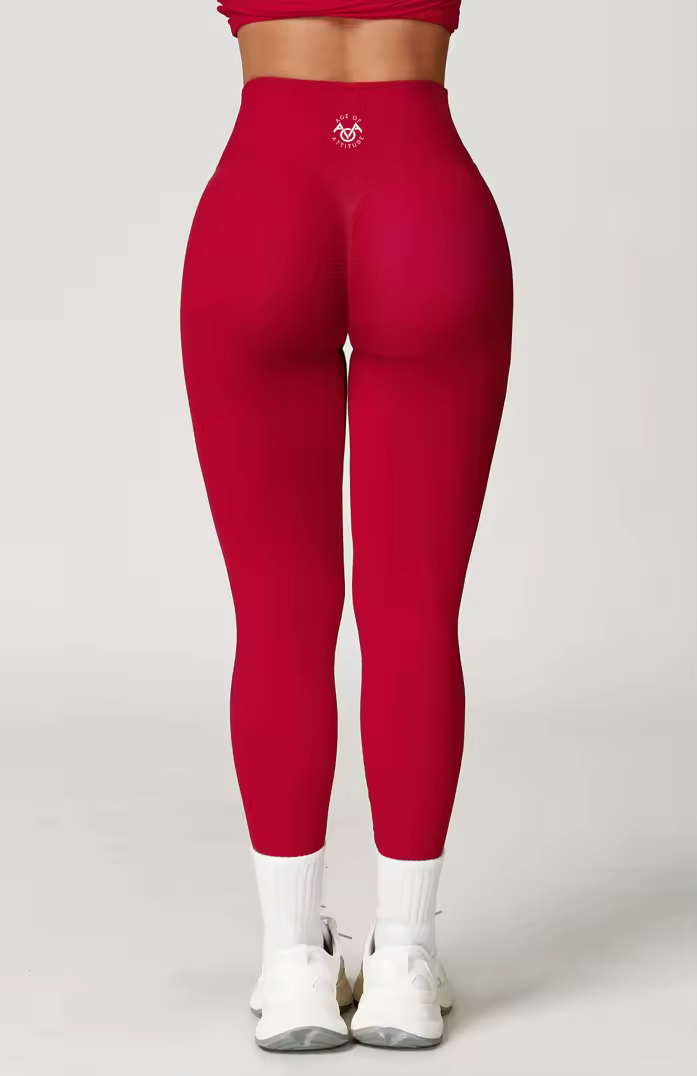 Empower Seamless V Leggings